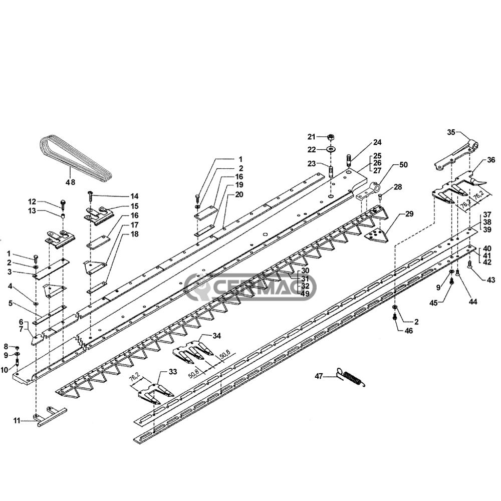 Dente barra falciante