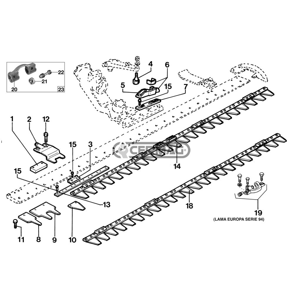 Dente barra falciante