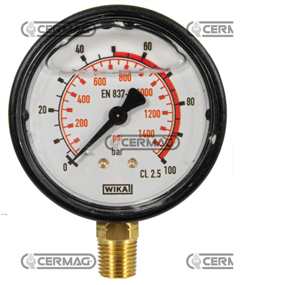 Manometro alla glicerina 100 bar