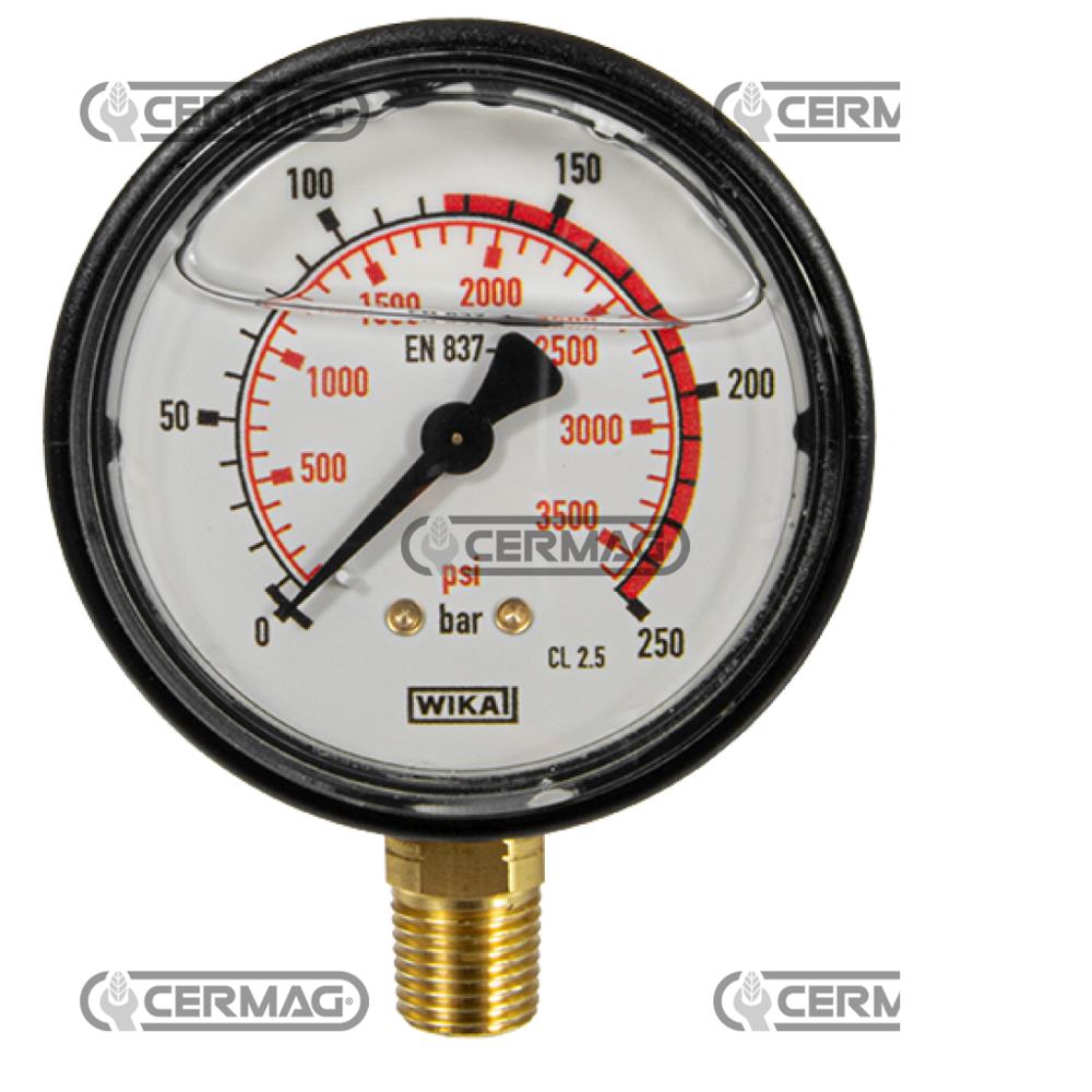 Manometro alla glicerina 250bar