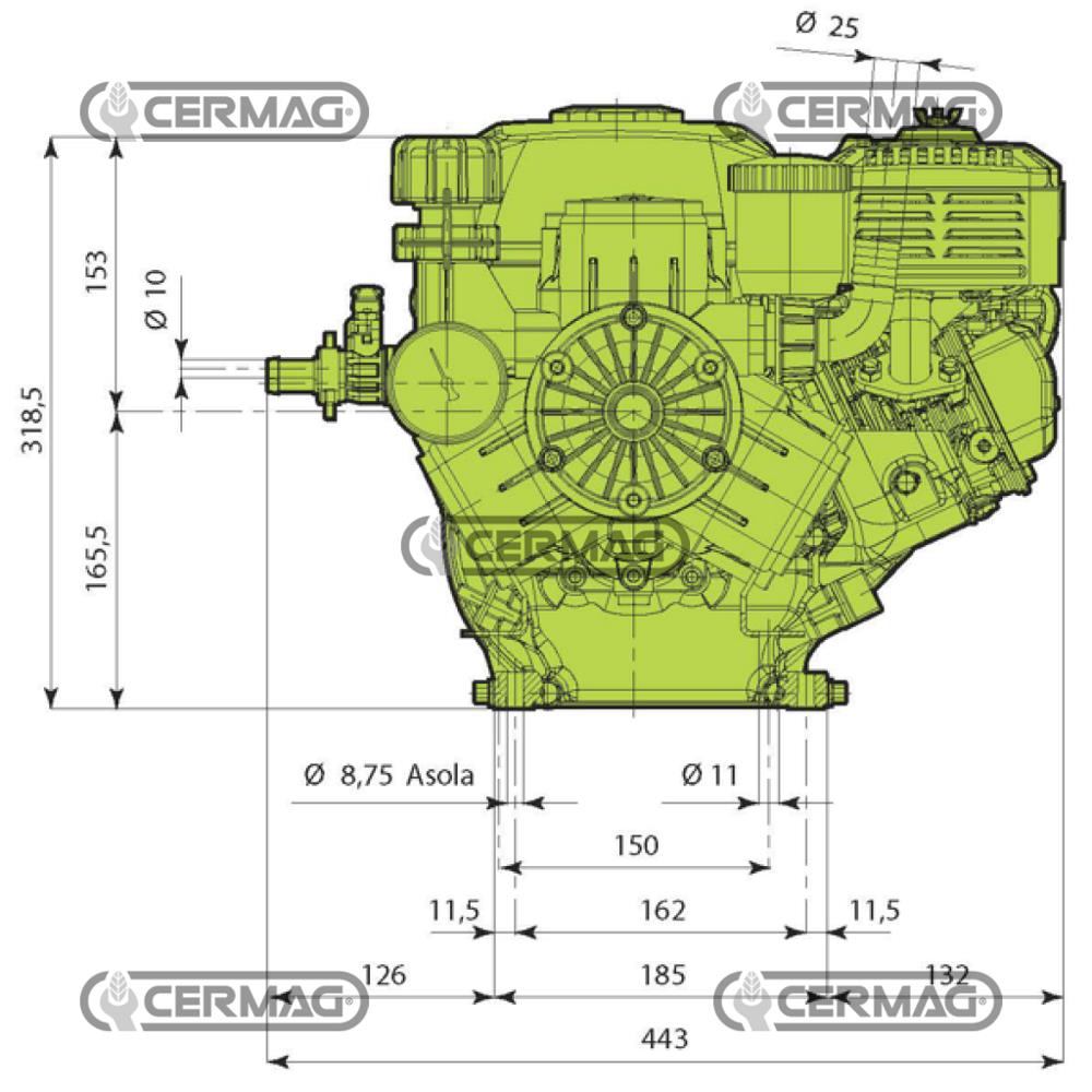 Motopompa a 3 membrane 4,8HP